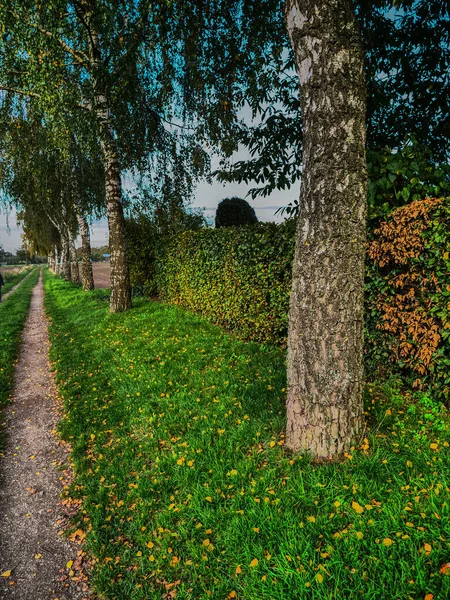 Prachtig Uitzicht Het Park — Stockfoto