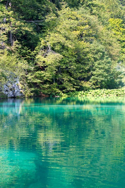 Parque Nacional Los Lagos Plitvice Milagro Naturaleza Lago Color Turquesa —  Fotos de Stock