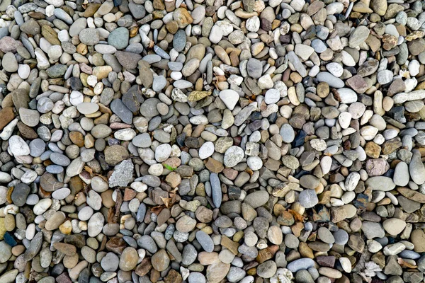 Shingle Stones Background Detail — Stock Photo, Image