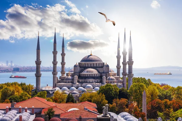 Gorgeous Sultan Ahmet Mosque Istanbul Bosporus Background — Stock Photo, Image