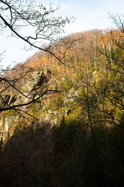 Dere Büyük Büyük Stolpich Şelaleleri Jizera Dağı Nda Sonbaharda Uzun — Stok fotoğraf