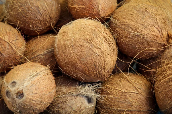 Multe Nuci Cocos Întinse Grămadă — Fotografie, imagine de stoc