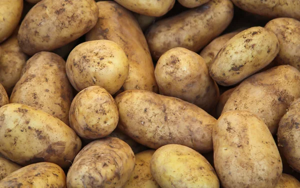 Lots Potatoes Offered Market — Stock Photo, Image