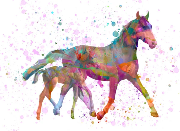 Akvarell Illustration Häst — Stockfoto
