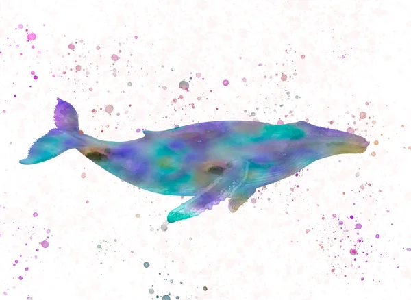 Illustrazione Acquerello Una Balena — Foto Stock