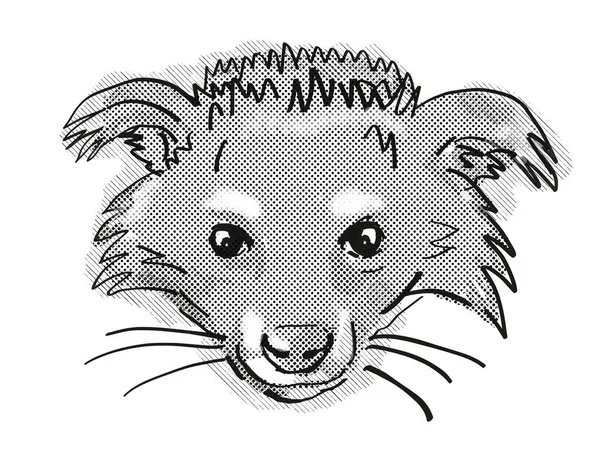 Retro Cartoon Style Drawing Head Binturong Arctictis Binturong Endangered Wildlife — Stock Photo, Image