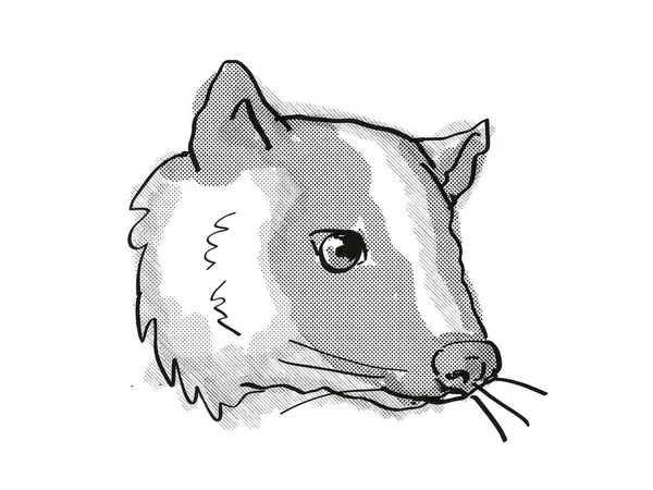 Dibujo Estilo Caricatura Retro Cabeza Una Palmera Enmascarada Civet Paguma —  Fotos de Stock