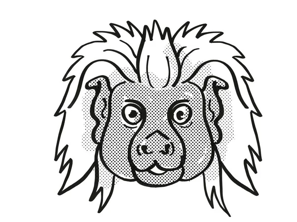 Retro Cartoon Mono Line Zeichnung Des Kopfes Eines Baumwolltamarins Einer — Stockfoto
