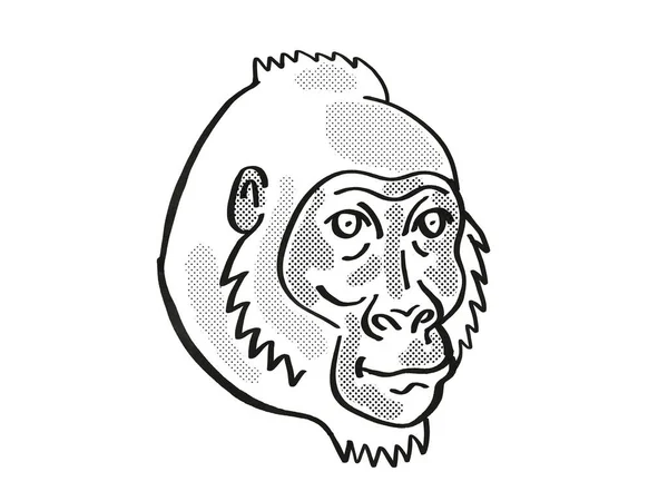 克罗斯河大猩猩或大猩猩头像的复古卡通画单线风格 这是一种濒危野生动物 背景为黑白隔离 — 图库照片