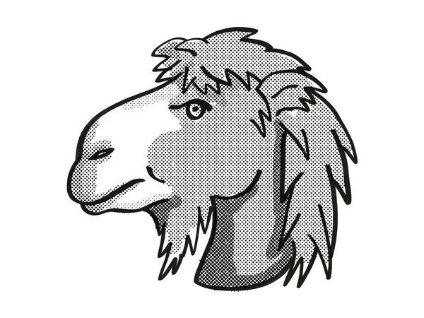 Retro Kreskówka Mono Linii Styl Rysunek Głowy Baktriana Camel Lub — Zdjęcie stockowe