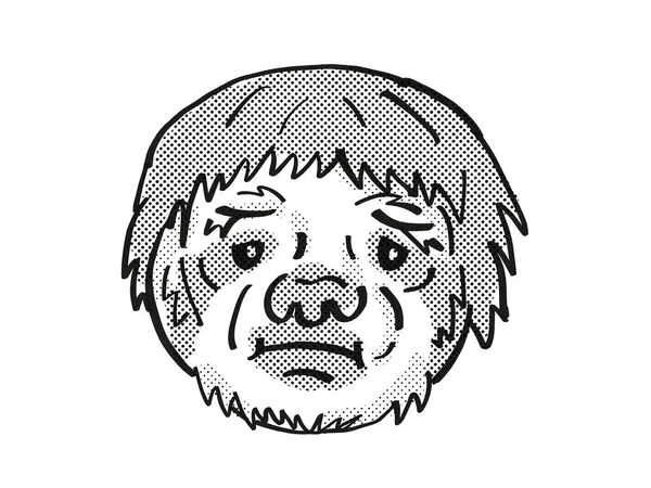 Retro Kreskówka Mono Linii Styl Rysunek Głowy Leniwca Ssaka Arborealnego — Zdjęcie stockowe