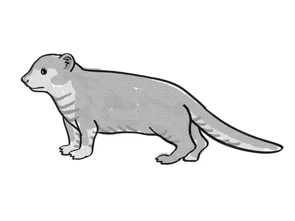 Retro Cartoon Mono Lijn Stijl Tekening Van Een Mongoose Helogale — Stockfoto