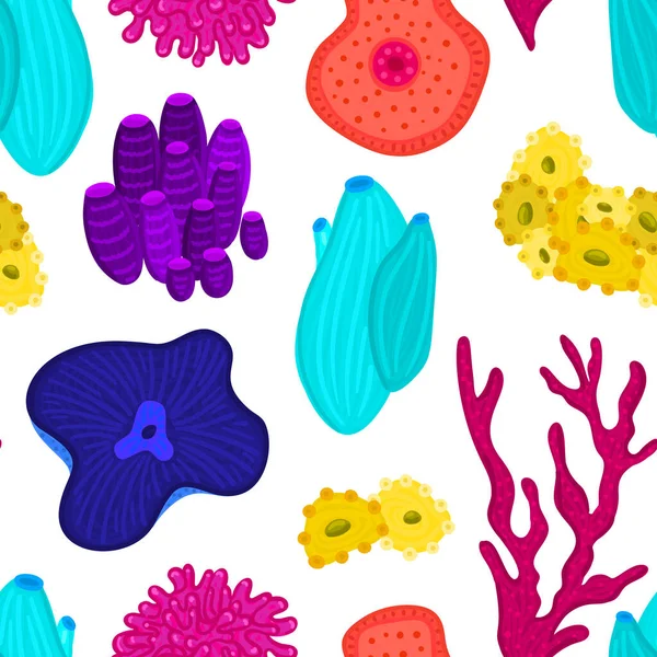 Vector Seamless Pattern Corals Background Colorful Sea Ocean Life Underwater — Stock Photo, Image