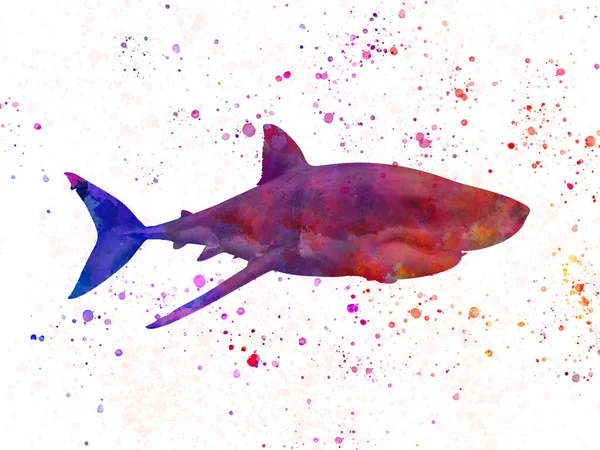 Акварельная Иллюстрация Акулы Нарисованным Вручную Эскизом — стоковое фото