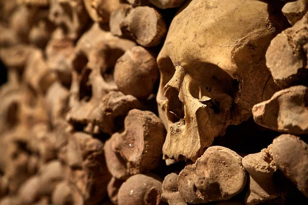 Emberi Csontokból Készült Fal — Stock Fotó