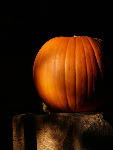 Halloween Tök Fekete Háttér — Stock Fotó