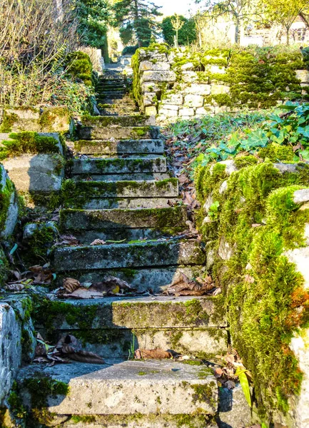 Escaliers Dans Parc — Photo