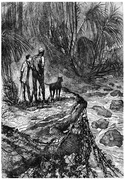 Bushman Och Hans Följeslagare Tittade Vintage Graverad Illustration Jules Verne — Stockfoto