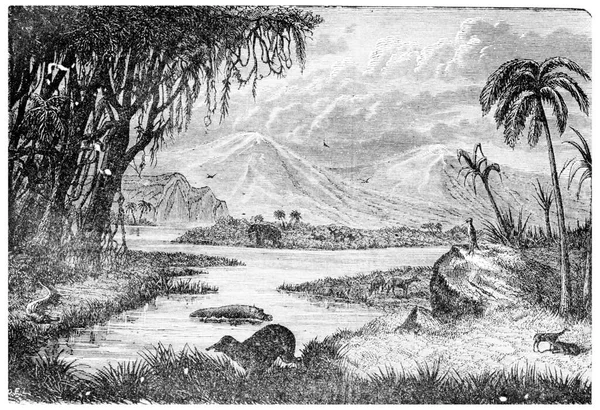 Απεικόνιση Ενός Ποταμού Στην Έρημο — Φωτογραφία Αρχείου