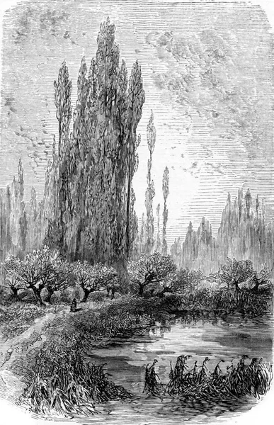 位于法国法兰西塞纳河畔的埃皮西岛 摘自Chemin Des Ecoliers Vintage Engraving 1876年 — 图库照片