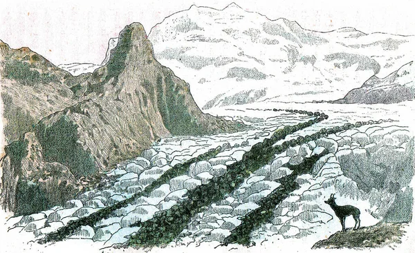 Ledovec Růžové Hory Alpách Jeho Tři Morény Vinobraní Ryté Ilustrace — Stock fotografie
