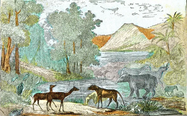 Ideal Landscape Eocene Period Vintage Engraved Illustration Natural Creation Living — Stock Photo, Image