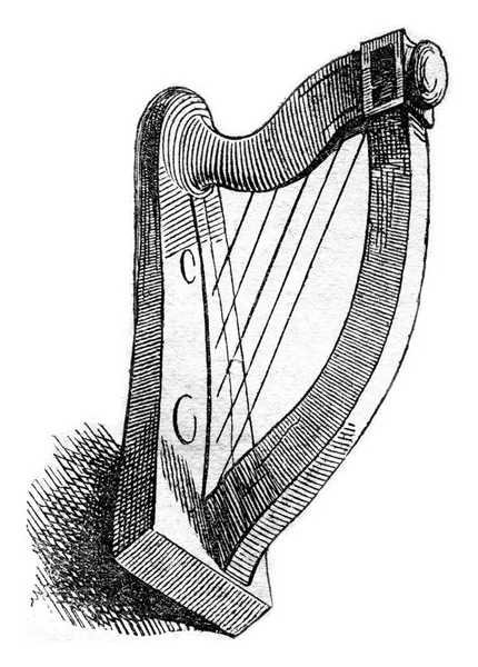 Vintage Violin Teckning Gravyr Illustration — Stockfoto