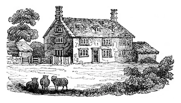 1727年にホームとニュートンが死去し ヴィンテージの彫刻が施された イングランドのカラフルな歴史 1837 — ストック写真