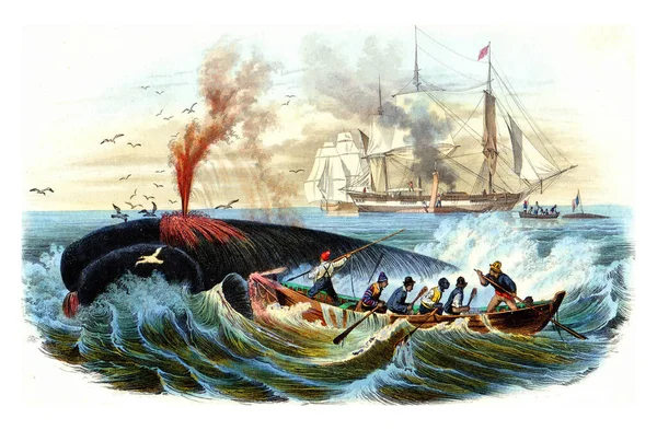 Akvarell Illusztráció Egy Hajó Háttérben Tenger — Stock Fotó