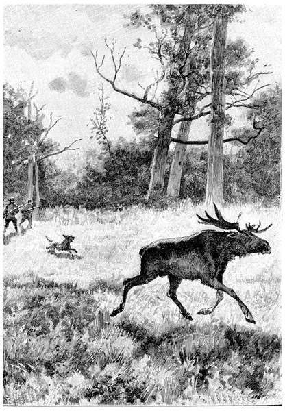 SergeとJeanは狩り ヴィンテージの刻印イラストを無視していませんでした ジュール ヴェルヌ シーザー カスカベル1890年 — ストック写真
