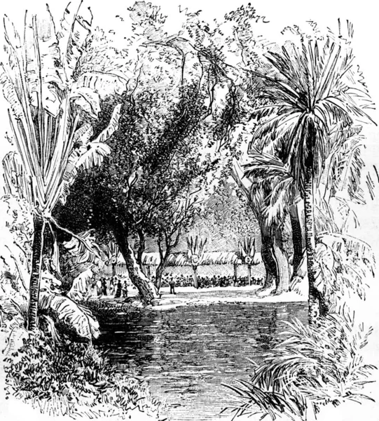 Bankett Den Botaniska Trädgården Saint Pierre Martinique Vintage Graverad Illustration — Stockfoto