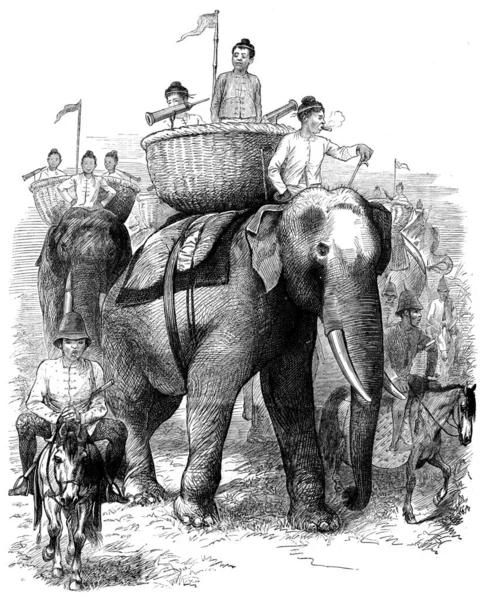 Elefanti Burmah Questi Animali Stanno Avanzando Maestosamente Illustrazione Incisa Vintage — Foto Stock