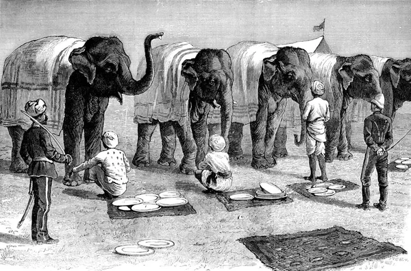 Elefántok Indiában Vintage Vésett Illusztráció Journal Des Voyages Utazási Folyóirat — Stock Fotó