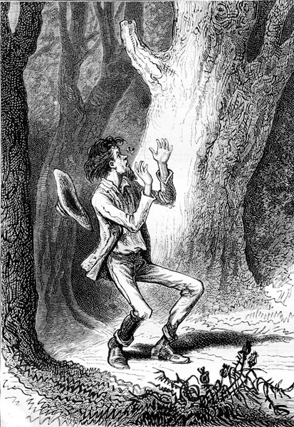 Man Afraid Forest Insect Flies His Nose Jules Verne Dick — ストック写真