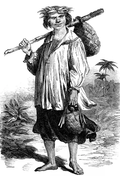 타히티 사람의 포도가 새겨져 Journal Des Voyages Travel Journal 1880 — 스톡 사진