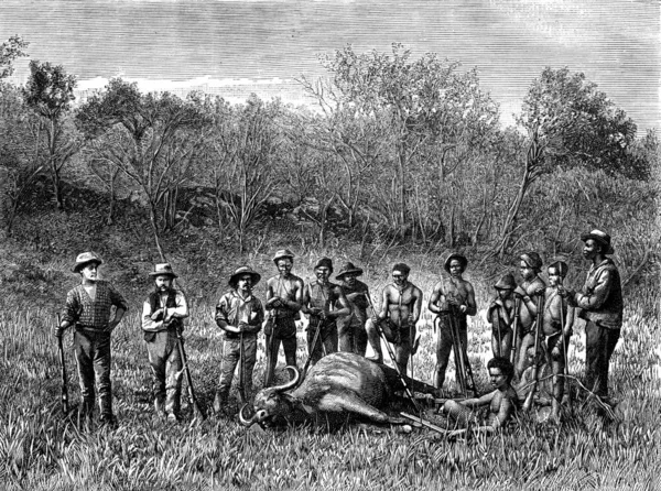 ボーア人だ トラバル ヴィンテージ刻まれたイラストで狩猟馬 Journal Des Voyage Travel Journal 1880年 1881年 — ストック写真