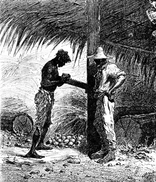 Robinsons Guyana Ele Deslizou Sua Batata Ralada Ilustração Gravada Vintage — Fotografia de Stock