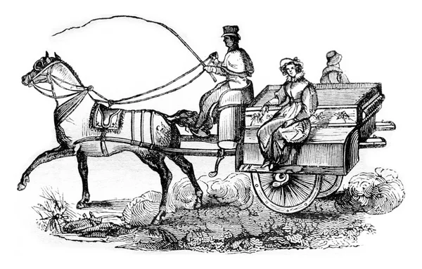 Rlanda Omnibus Jaunting Araba Eski Gravür Magasin Pittoresk 1836 — Stok fotoğraf