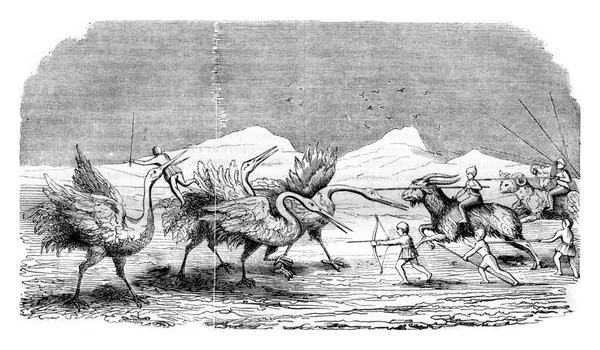 俾格米人与起重机战斗 古老的雕刻插图 Magasin Pittoresque 1843年 — 图库照片