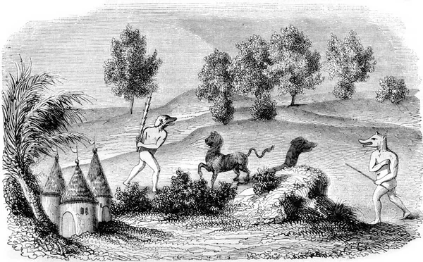 Cynocefali Kämpar Skog Monster Vintage Graverad Illustration Magasin Pittoresque 1843 — Stockfoto