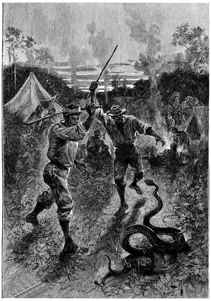 Dwóch Naszych Tubylców Zabiło Wielkiego Gada Wygrawerowanej Ilustracji Jules Verne — Zdjęcie stockowe