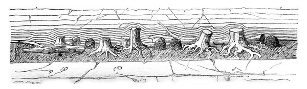 Клифф Портленд Показывающий Слой Черной Почвы Гальки Винтажная Гравированная Иллюстрация — стоковое фото