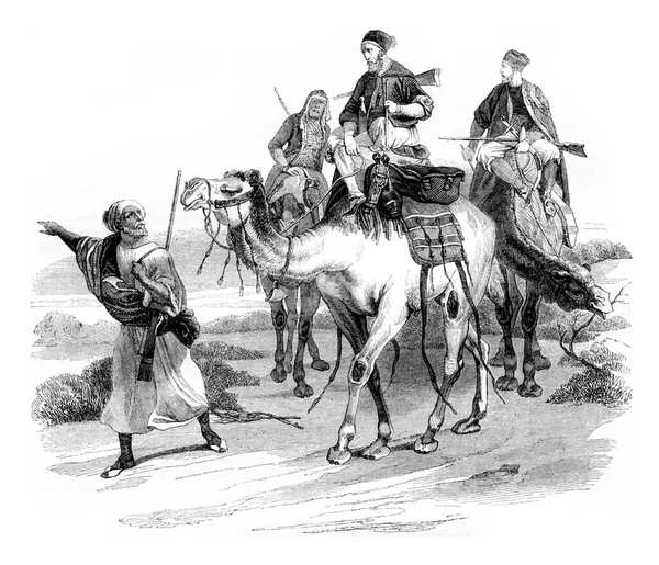 Viaje Desierto Por Avispón Ilustración Grabada Vintage Magasin Pittoresque 1844 — Foto de Stock