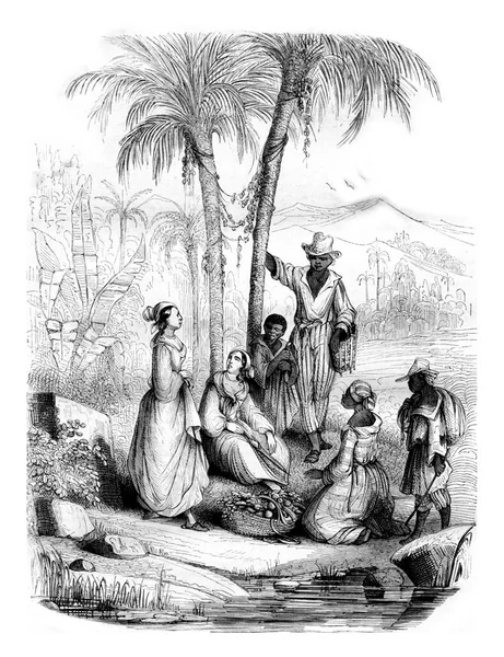 Обычаи Вест Индии Старинная Гравированная Иллюстрация Магазин Питтореске 1842 Года — стоковое фото