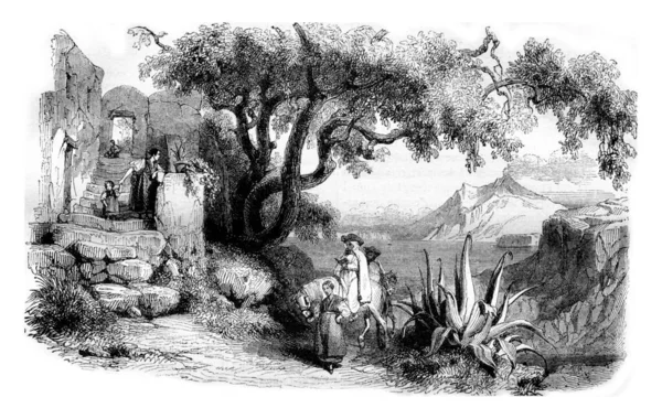 1843 Výstava Malby Pohled Ostrov Ischia Archivní Rytá Ilustrace Magasin — Stock fotografie