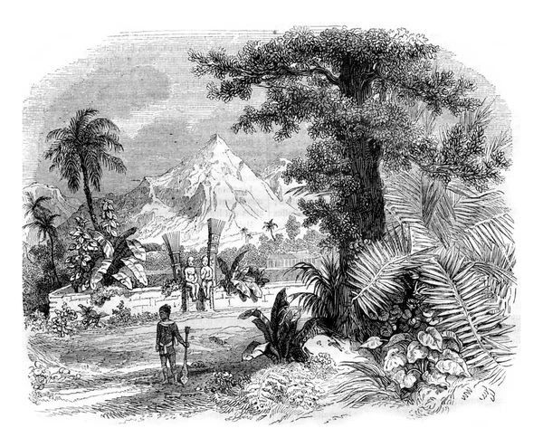 Îles Marquises Cimetière Une Nuka Hiva Illustration Gravée Vintage Magasin — Photo