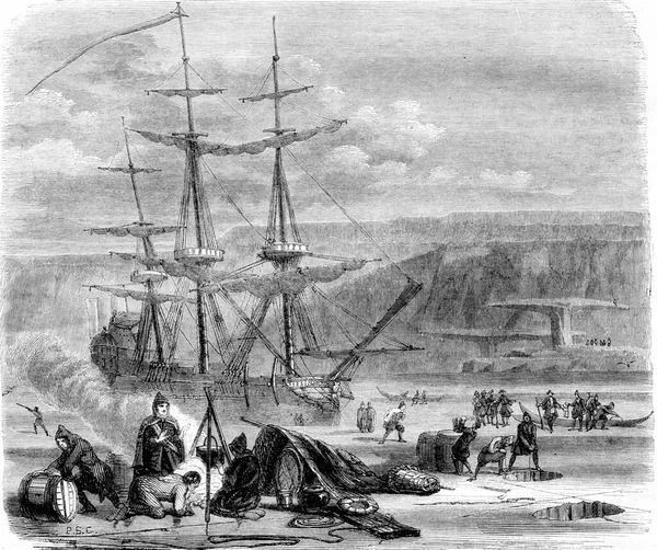 フランス船ペリカンは ハドソン海峡の優雅さ ヴィンテージ彫刻のイラストに取り組んでいます マガサン ピットレスク1844 — ストック写真