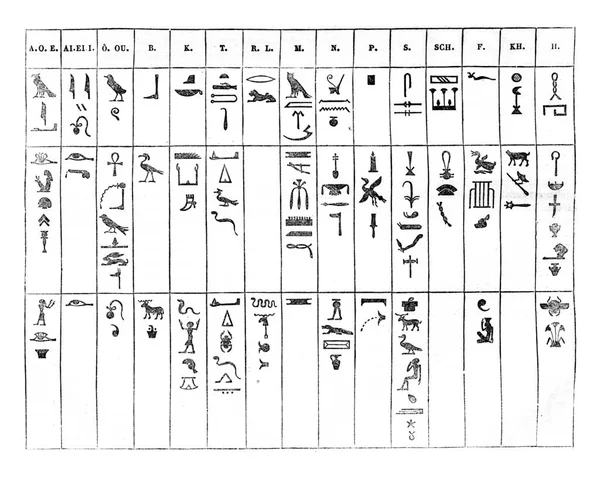 一组数字和字母 — 图库照片