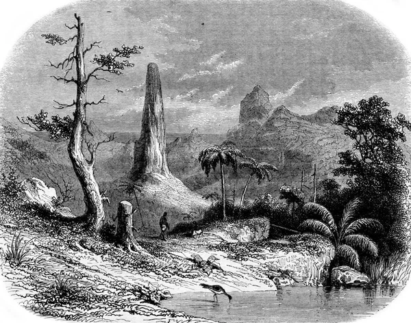 Krajobraz Sao Tome Vintage Ryte Ilustracje Pittoresque 1853 — Zdjęcie stockowe