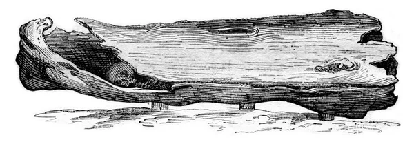 Anglo Saxon Coffin Solby Yorkshire 1834 1857 Vintage Engraved Illustration — Stock Photo, Image